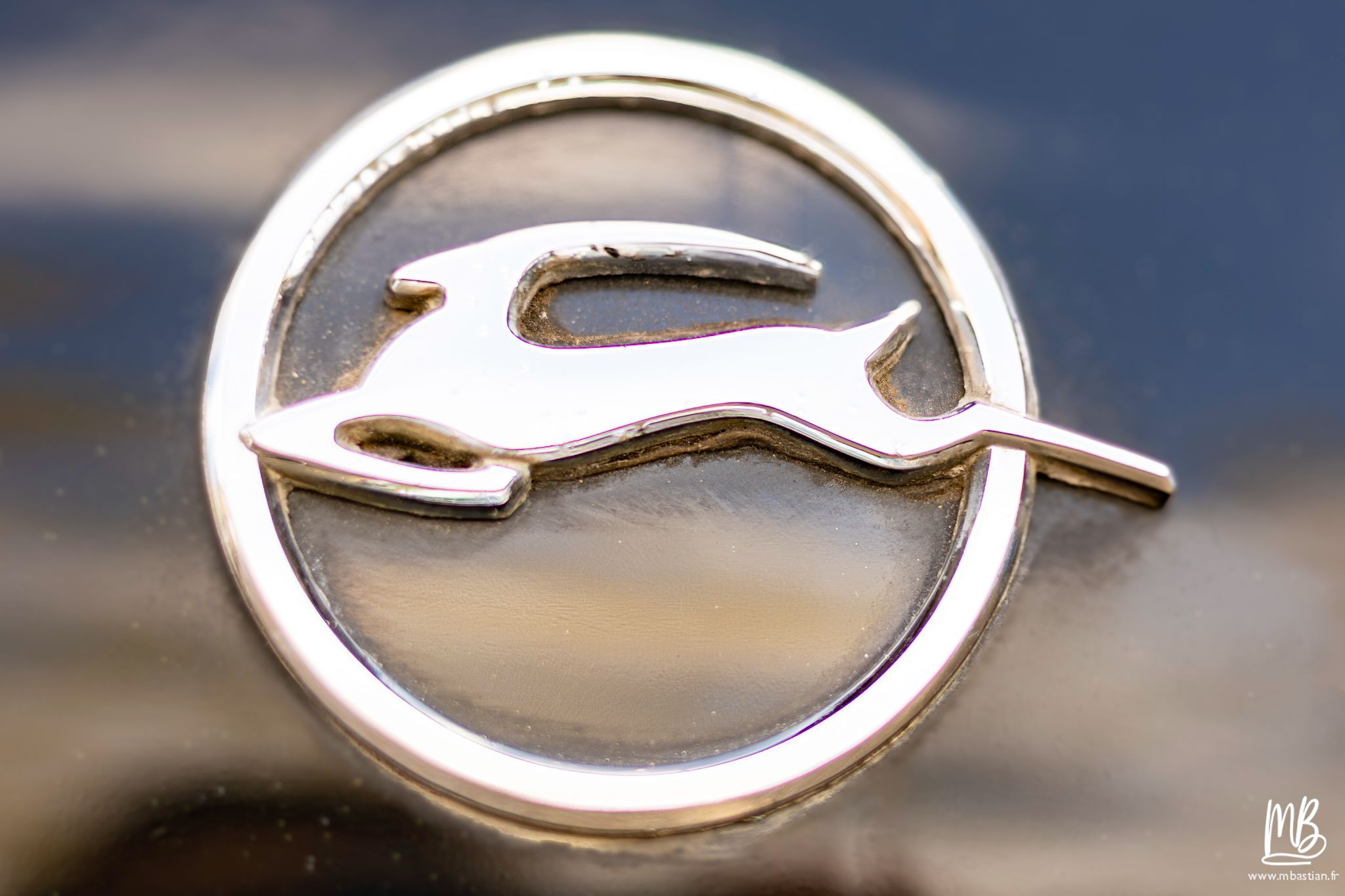 2025 04 20   Voitures    MB 10